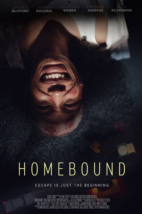 Постер: Homebound