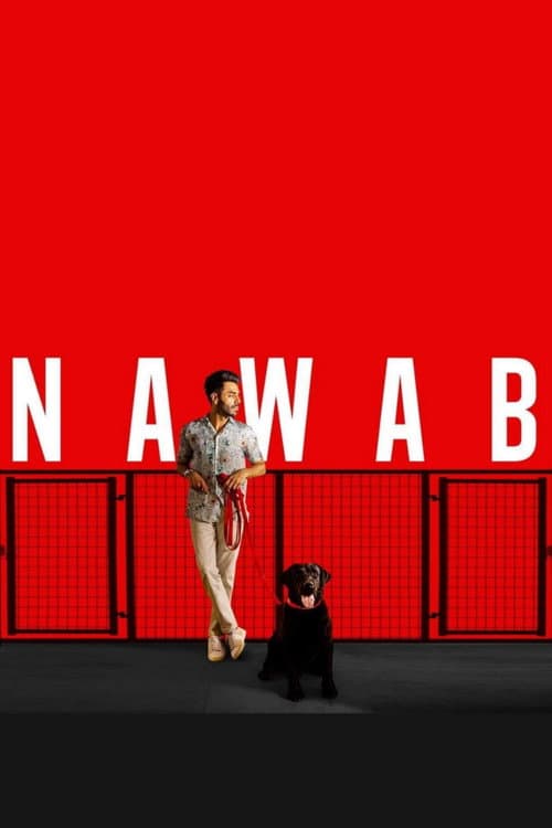 Постер: Nawab