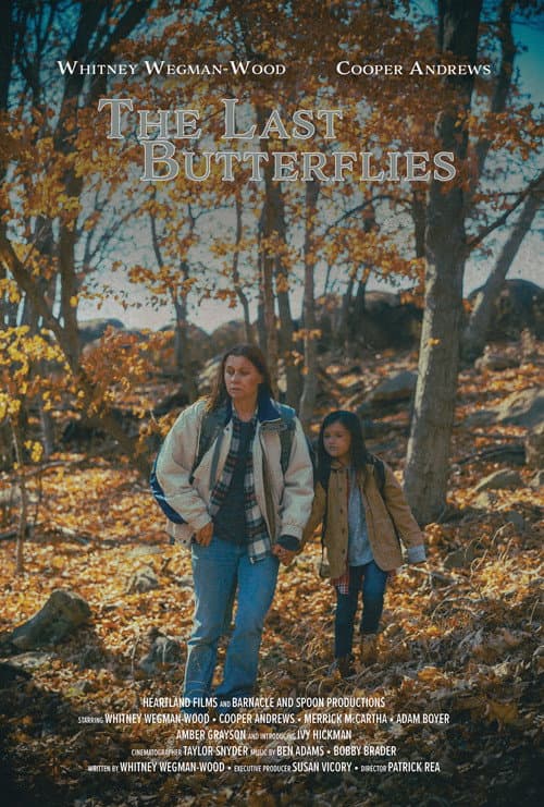 Постер: The Last Butterflies