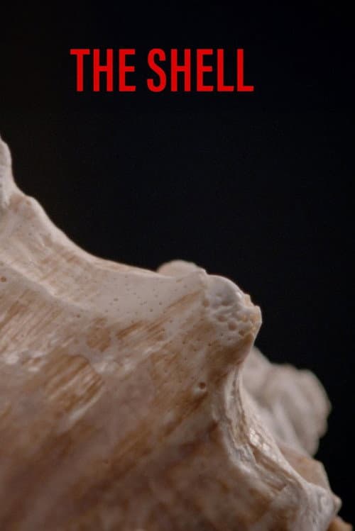 Постер: The shell