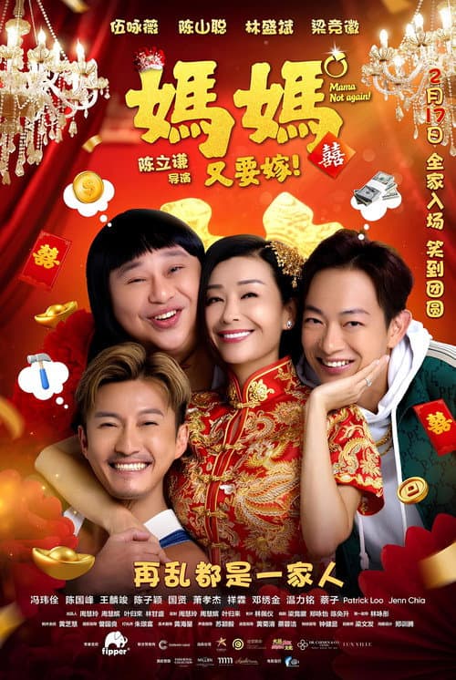 Постер: 妈妈又要嫁