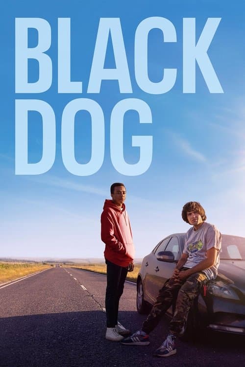 Постер: Black Dog