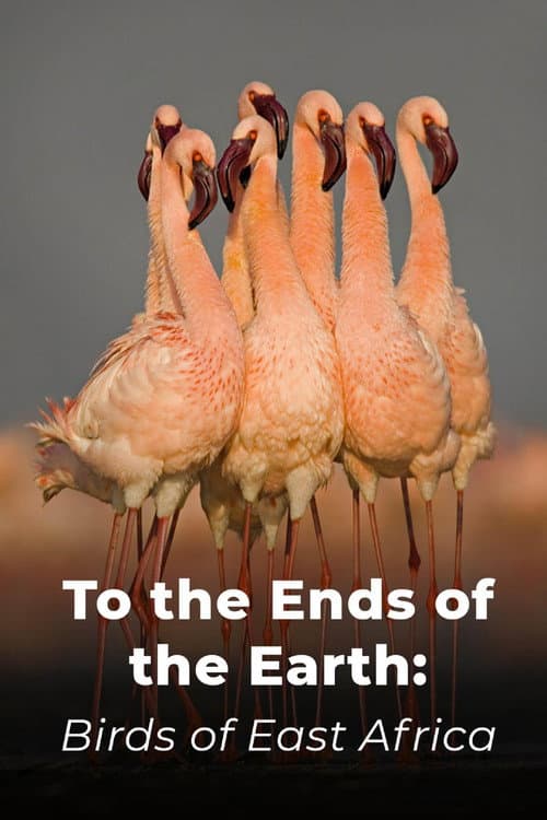 Постер: To the Ends of the Earth: Birds of East Africa