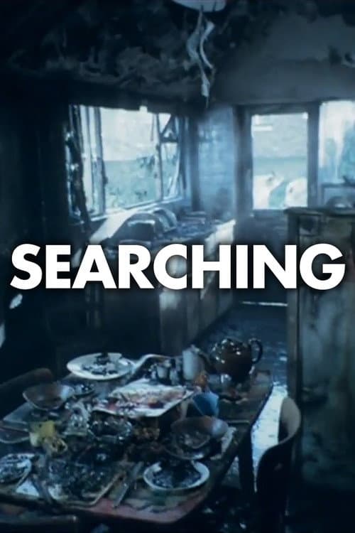 Постер: Searching