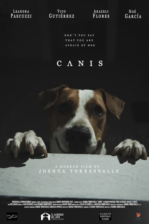 Постер: C Λ N I S