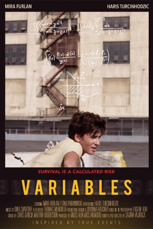 Постер: Variables
