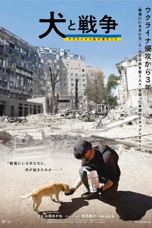 Постер: 犬と戦争: ウクライナで私が見たこと