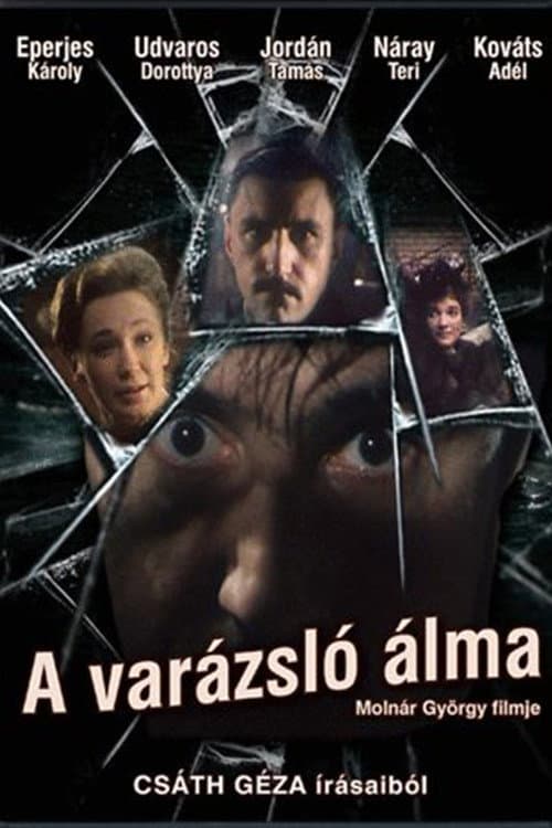 Постер: A varázsló álma