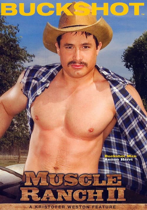 Постер: Muscle Ranch II