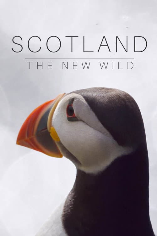 Постер: Scotland: The New Wild