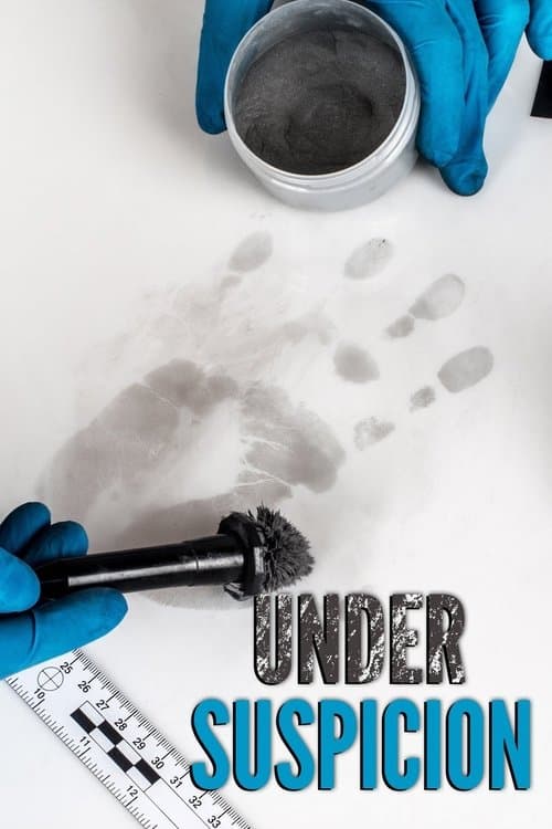 Постер: Under Suspicion