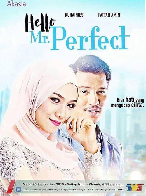 Постер: Hello, Mr. Perfect!