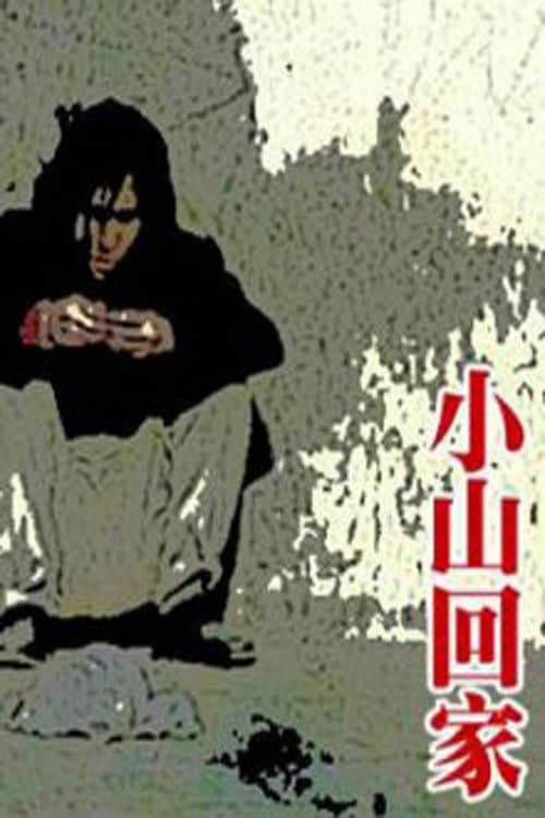 Постер: 小山回家