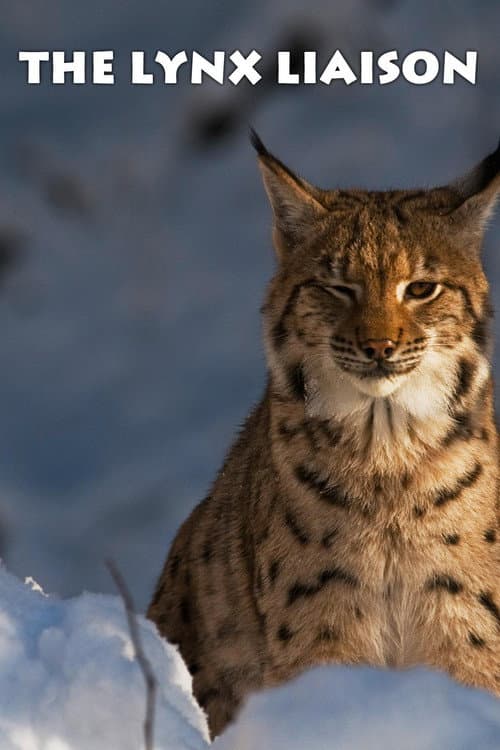 Постер: The Lynx Liaison