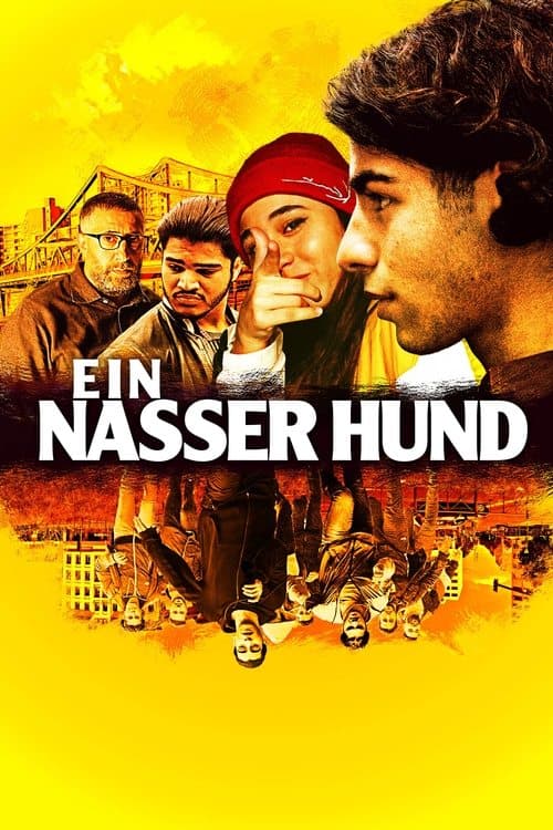 Постер: Ein nasser Hund