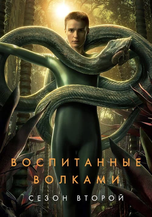 Кадр 7