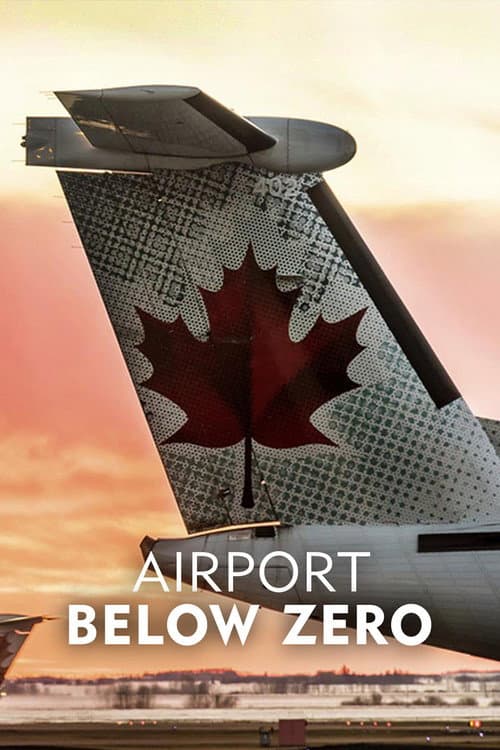 Постер: Airport: Below Zero