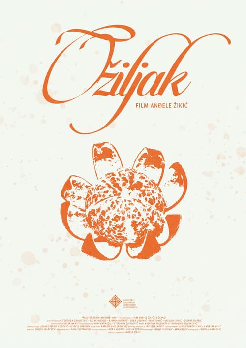 Постер: Ožiljak