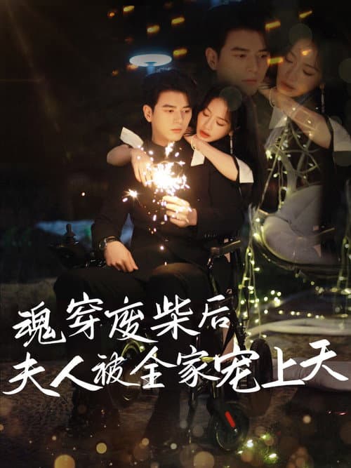 Постер: 魂穿废材后夫人被全家宠上天