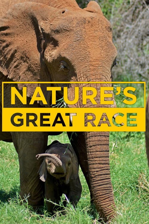 Постер: Nature's Epic Journeys