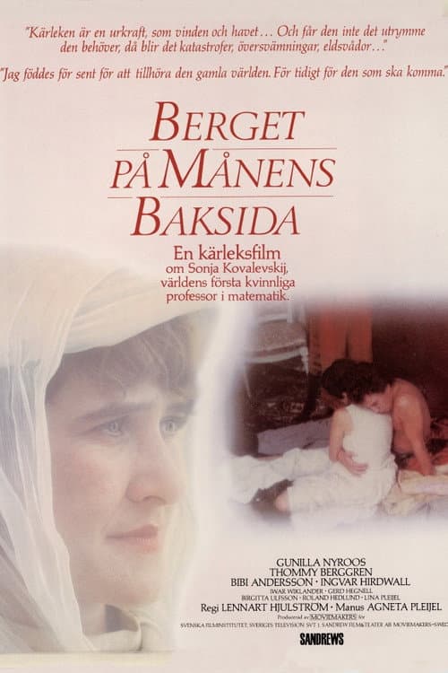 Постер: Berget på månens baksida