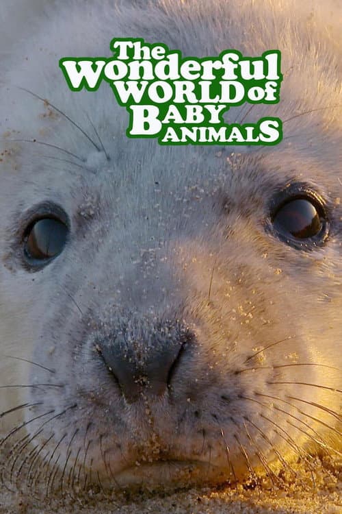 Постер: The Wonderful World of Baby Animals
