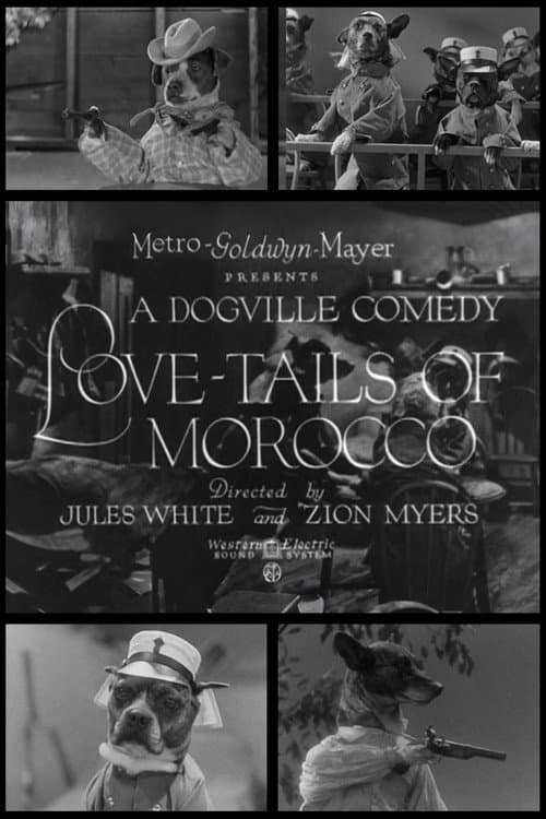 Постер: Love-Tails of Morocco