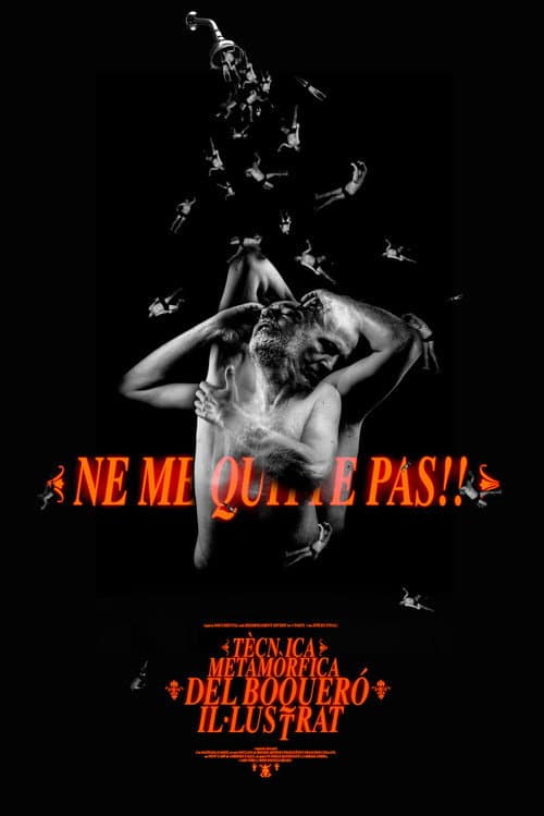Постер: Tècnica Metamòrfica del Boqueró Il·lustrat