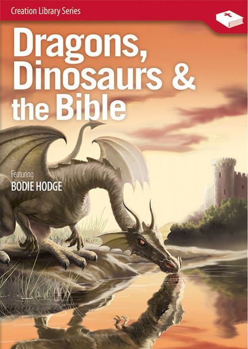 Постер: Dragons, Dinosaurs & the Bible