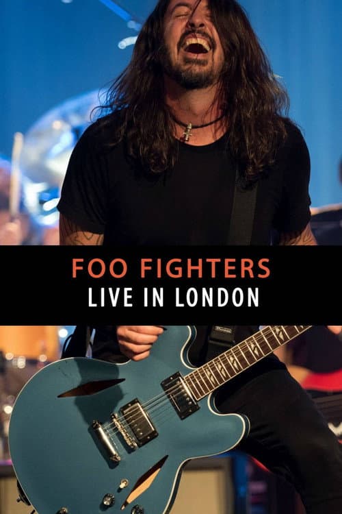 Постер: Foo Fighters - Live in London