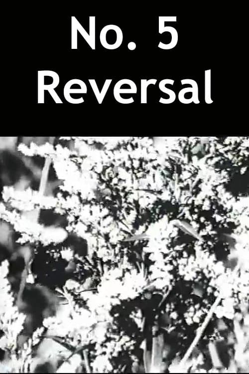 Постер: No. 5 Reversal