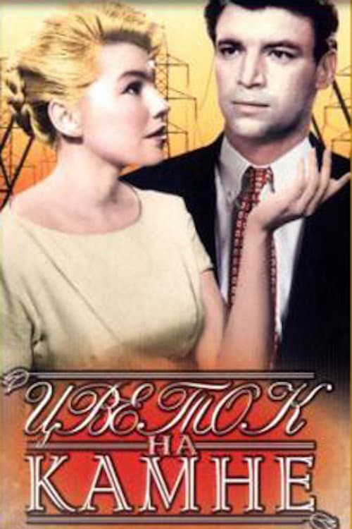 Постер 5