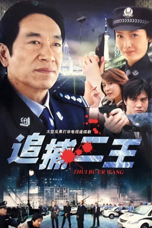 Постер: 追捕二王