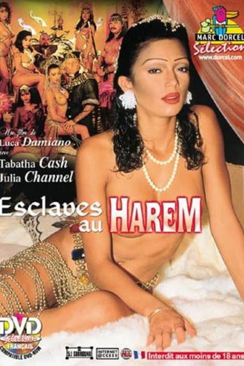 Постер: Esclaves Au Harem