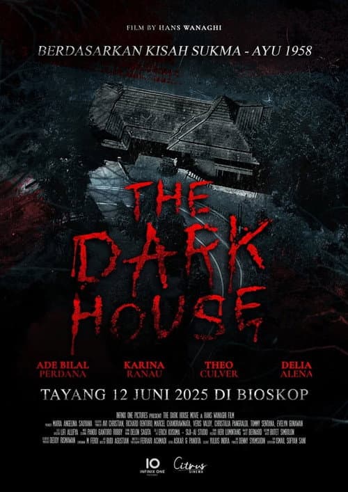 Постер: The Dark House