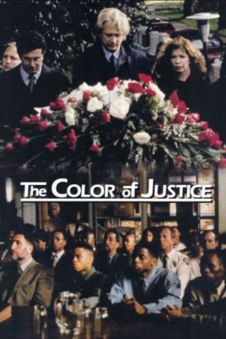 Постер: Color of Justice