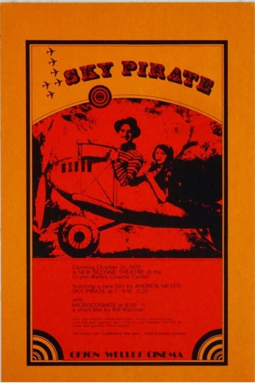 Постер: The Sky Pirate