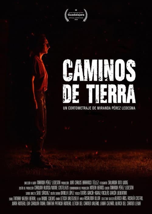 Постер: Caminos de tierra