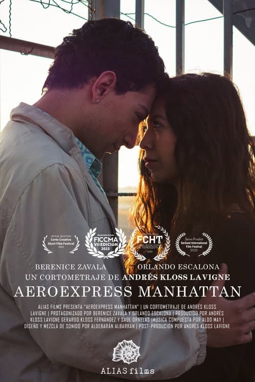 Постер: Aeroexpress Manhattan