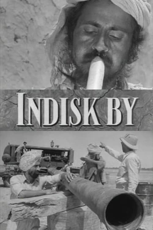 Постер: Indisk by