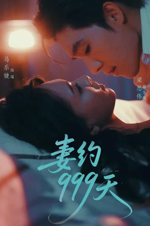 Постер: 妻约999天
