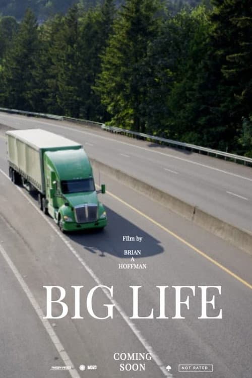 Постер: Big Life