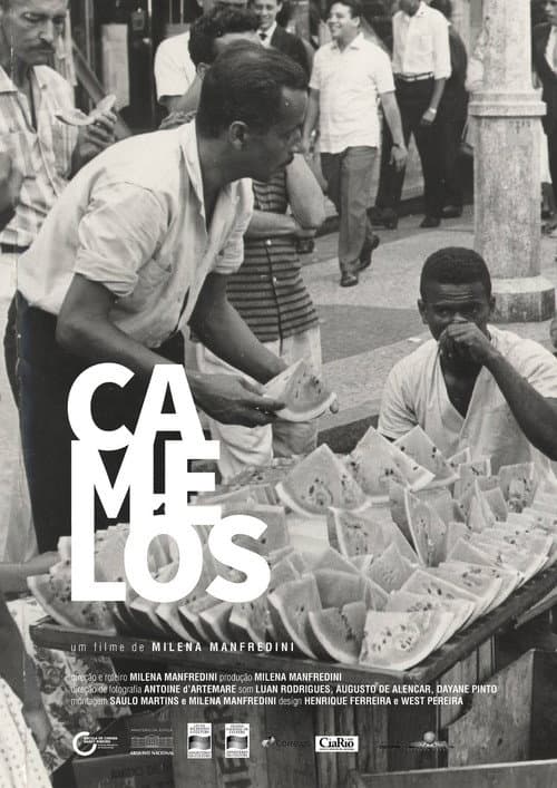 Постер: Camelôs