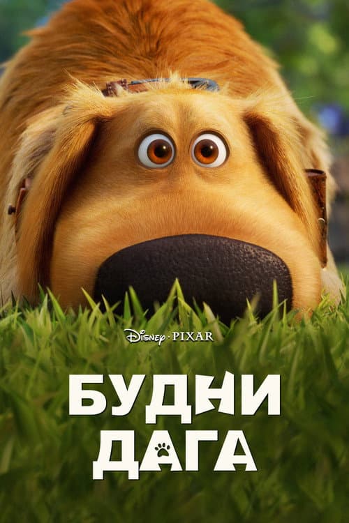 Кадр 2