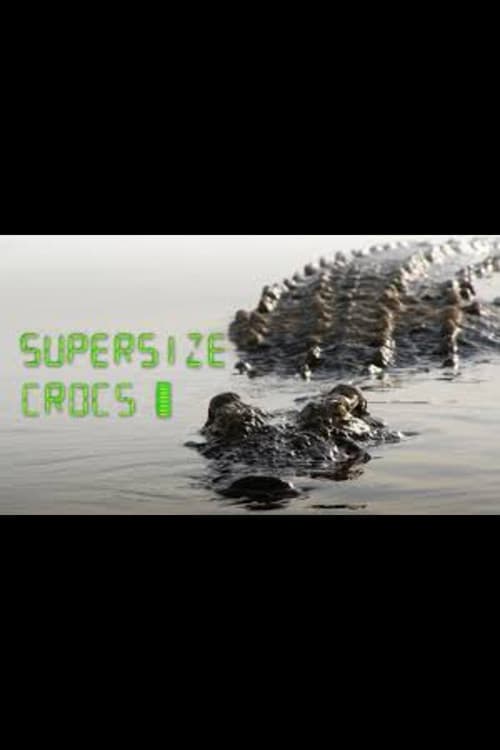 Постер: Supersize Crocs - Finding the World's Largest Crocodiles