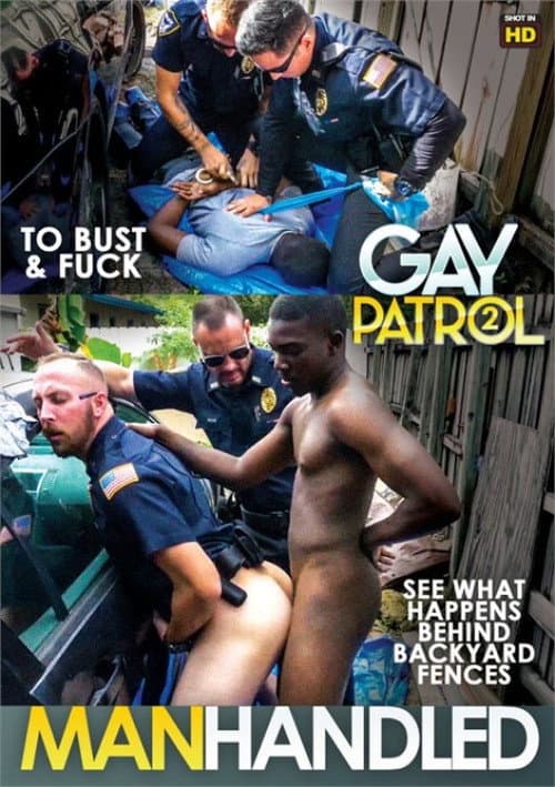 Постер: Gay Patrol 2