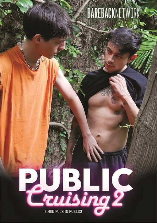 Постер: Public Cruising 2