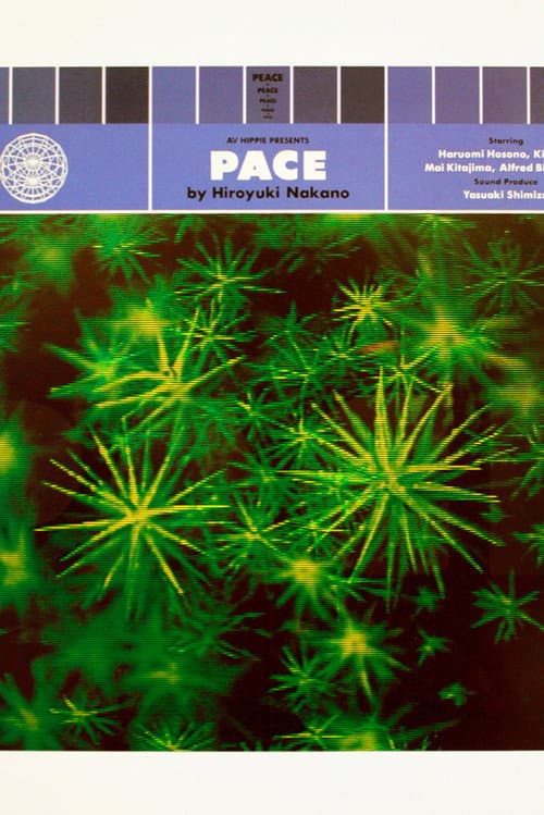Постер: Pace