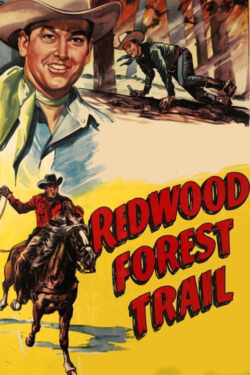Постер: Redwood Forest Trail
