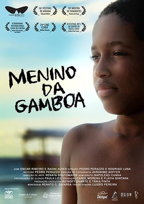 Постер: Menino da Gamboa